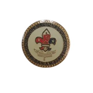 Pin Flor de liz