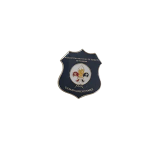 Pin compañerismo